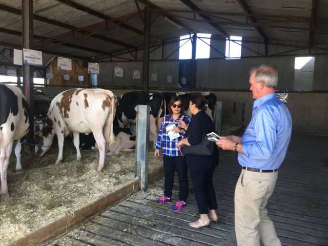 ”محرز”: بروتوكول تعاون مع أيرلندا لنقل خبرات تحسين سلالات الماشية المصرية