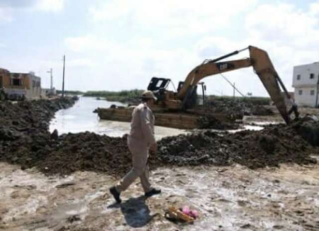 بالفيديو والصور.. جهود وزارة الزراعة في تطهير بحيرة البرلس