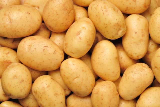 وزارة الزراعة: فتح ثلاجات محتكري البطاطس بالقانون .. والبيع بالسعر الجبري للجمهور