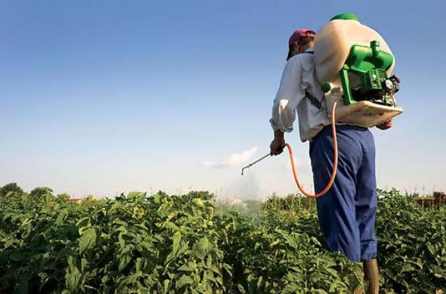 الخميس 28 مارس: ”شورى” توقع مع ”الزراعة” بروتوكول تدريب 1000 شاب من ”مطبقي المبيدات”