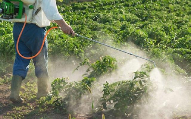 ”الزراعة” تستأنف إنتاج مبيد حيوي يرفع مؤشر سلامة الأغذية الزراعية