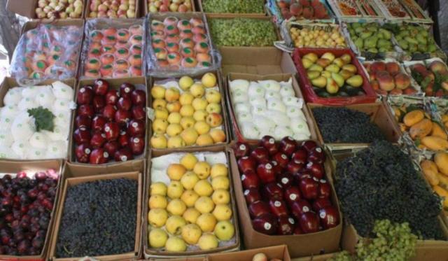 هيئة سلامة الغذاء المصرية تقر باشتراطات سعودية تعجيزية لتصدير الخضروات والفواكه الطازجة