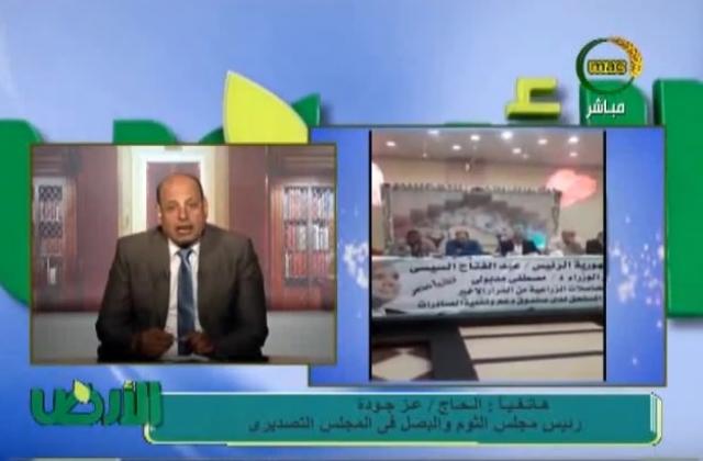 رئيس مجلس الثوم والبصل: استمرار دعم مصدري البصل بالنظام القديم ضرورة اقتصادية