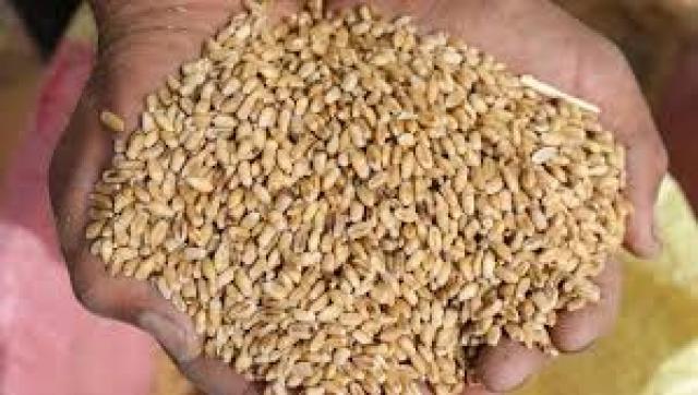 التموين تطرح مناقصة جديدة لإستيراد القمح من الخارج ٢١ نوفمبر المقبل