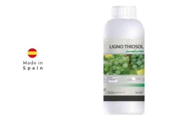 ”لينجو ثيوسول” سماد من ” الأوروبية” لرفع مقاومة النبات ضد بعض الأمراض الفطرية