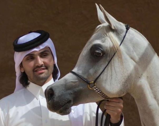 أحمد آل ثاني: محطة الزهراء المصرية تملك أهم أنواع سلالات الخيول العربية الأصيلة