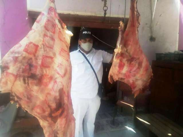 بيطرى أسوان : تنظيم حملة لضبط اللحوم المذبوحة خارج المجزر الحكومى