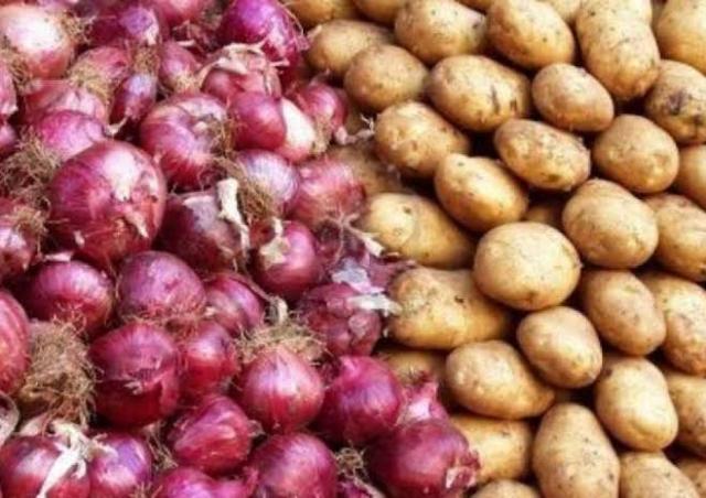 958 ألف طن.. صادرات البطاطس والبصل وزيادة 30% بـ5 محاصيل