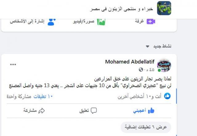 سكرين شوت لبوست أحمد مزارعي الزيتون من جروب "خبراء منتجي الزيتون"