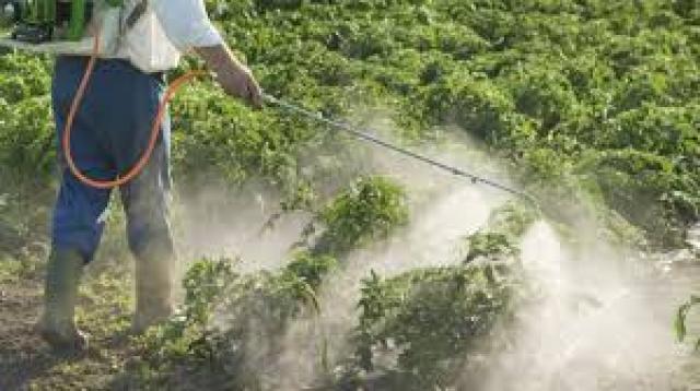 الزراعة تنتهي من تدريب المرأة السوهاجية على تقليل المخاطر والإستخدام الآمن للمبيدات