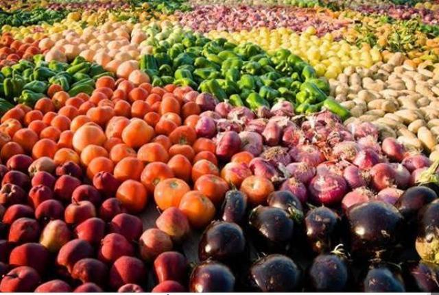 ارتفاع صادرات مصر الزراعية الى أكثر من 4.3 مليون طن والبصل في المركز الثالث بعد الموالح والبطاطس 