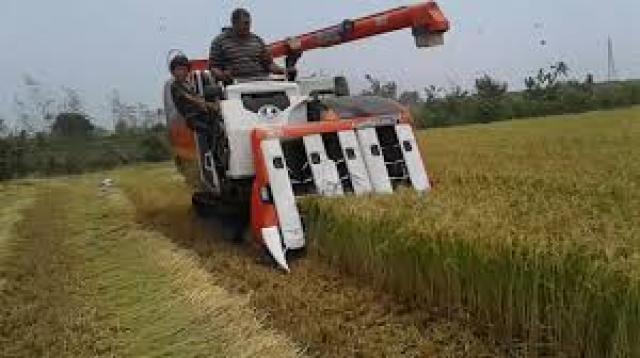 محافظ الشرقية : الانتهاء من حصاد 204 الف و225 فدان أرز حتى الان