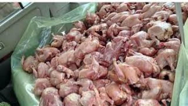 تموين بورسعيد : ضبط 200 كيلو دجاج منتهى الصلاحية