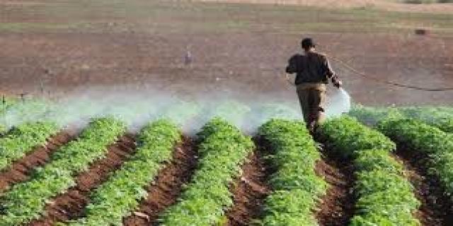 زراعة الشرقية : دورات تدريبية مكثفة لمطبقى المبيدات الزراعية
