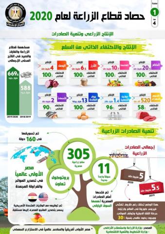 الزراعة : مصر الأولى عالميا فى تصدير الموالح و الفراولة المجمدة لعام 2020 
