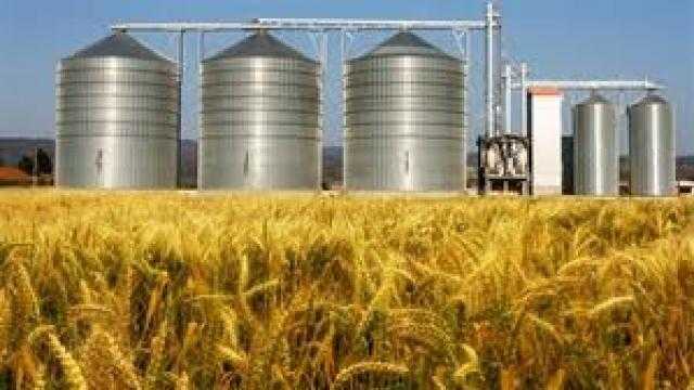 التموين : المخزون الاستراتيجى من القمح يكفى لـ6 أشهر