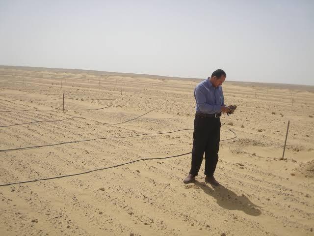 خطوات توزيع الأراضي الصحراوية على بعض الفئات الاجتماعية