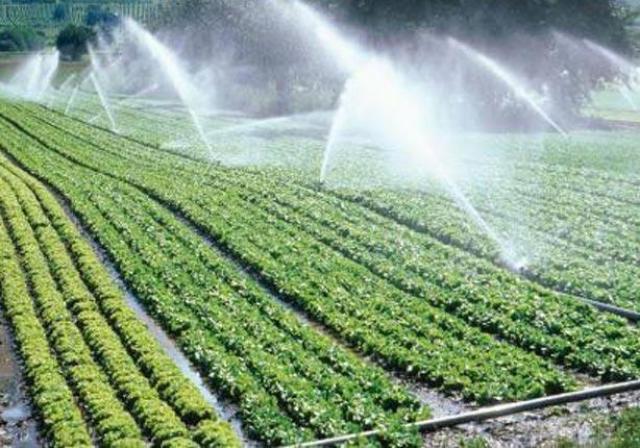 أجندة ”يوم البيئة” في أسوان: 14 توصية أبرزها صيانة التربة بالزراعة التجددية