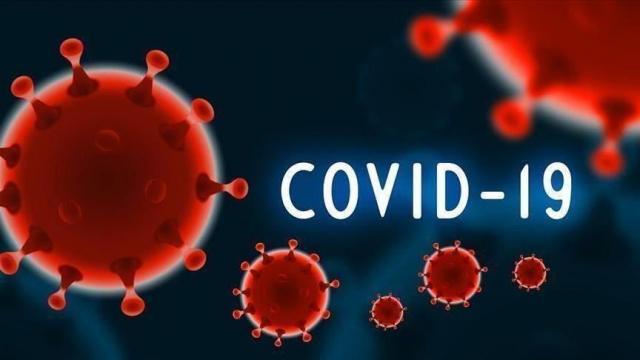 الصحة: تسجيل 622 حالة إيجابية جديدة بفيروس كورونا ..و 44 حالة وفاة