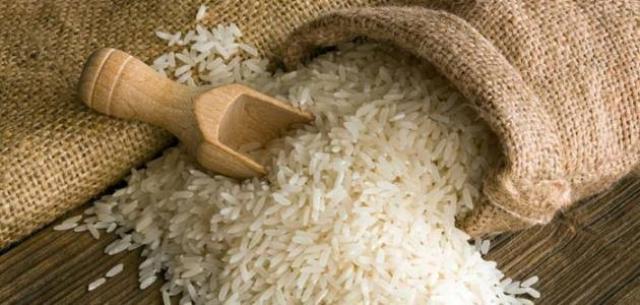 مطاوع : مصر من أعلي الدول في متوسط الإنتاج للأرز سنويا