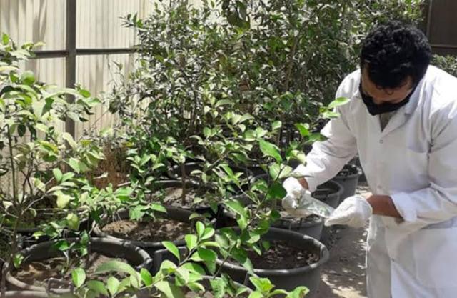 ”الزراعة” تستعرض تقريرا حول انشطة معهد بحوث أمراض النباتات خلال فبراير الماضي