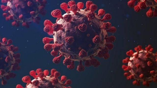 أستاذ مناعة يكشف عن أعراض جديدة لفيروس كورونا