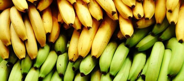 تعرف على مزايا تناول الموز الأخضر والأصفر 