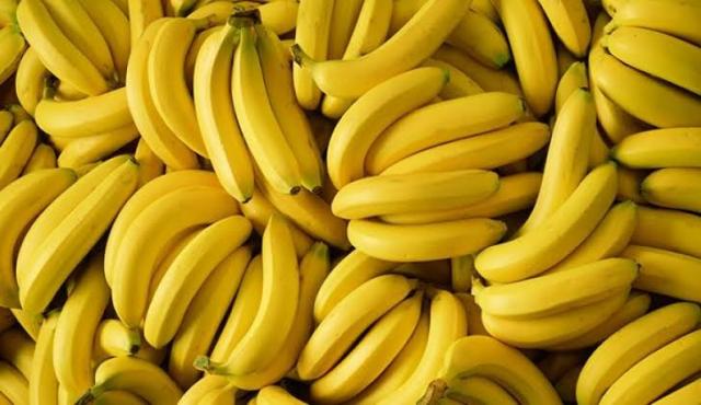 تعرف على أهم العمليات الزراعية لمحصول الموز ”ملف كامل”