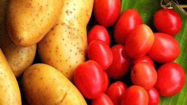 تعرف مرض اللفحة المتأخرة بمحاصيل البطاطس والطماطم وكيفية مكافحته