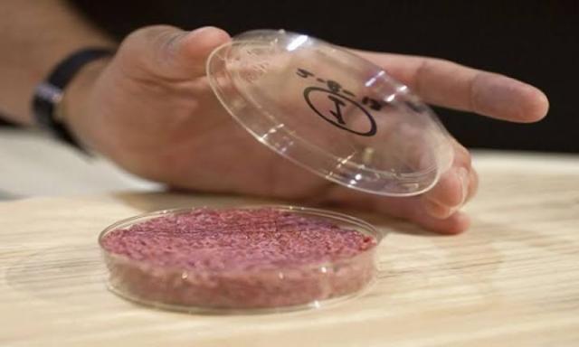 خبراء يروجون للحوم المصنعة بالخلايا للحد من تربية الحيوانات