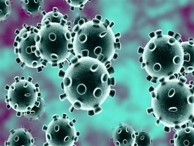 هل فيروس كورونا سيتحول لمرض مزمن؟.. عالم يوضح