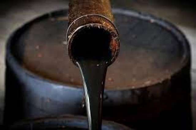 على غرار النفط.. توجه مصري للتحوط من ارتفاع أسعار القمح والزيت عالميا