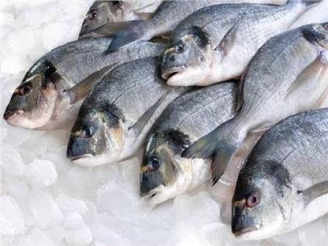 سلامة الغذاء تتولي إدارة ومراقبة ملف الأسماك مطلع 2022