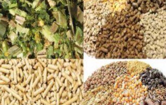 تقرير حكومي: ارتفاع أسعار الطعام في مصر بنسبة 9.7%