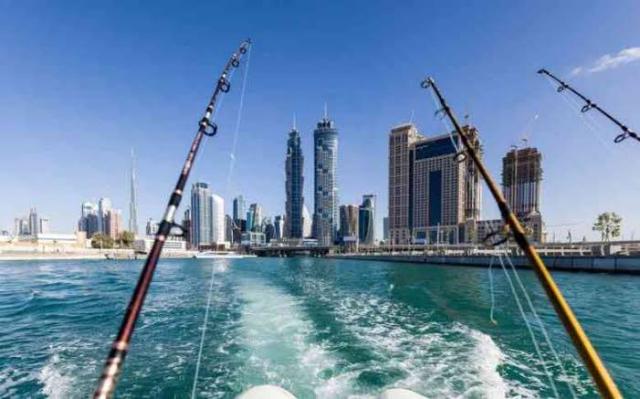 حظر صيد وتسويق أسماك القابط والكفر في الإمارات حتى نهاية فبراير