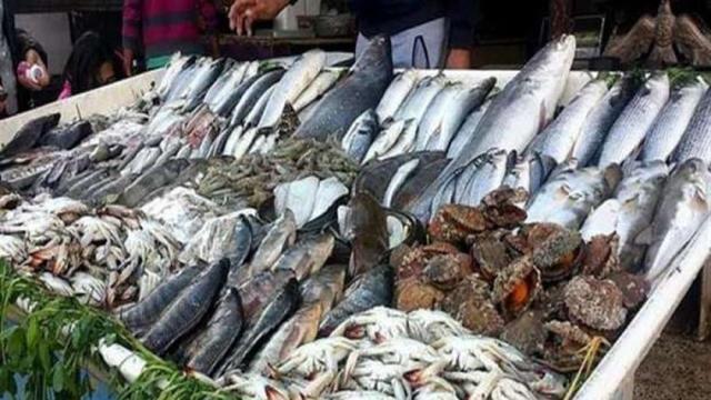 أسعار الأسماك بسوق العبور اليوم الخميس