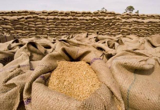 وزير التموين: تراجع معدلات استيراد القمح لتطبيق منظومة التحكم في الإنتاج