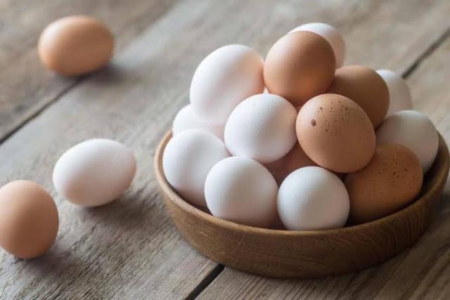 ارتفاع سعر البيض الأحمر والأبيض .. أسعار بورصة البيض بالمحافظات اليوم الأربعاء