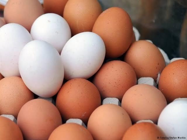 البيض الأحمر يسجل 51 جنيه .. ثبات أسعار بورصة البيض بالمحافظات اليوم الأحد