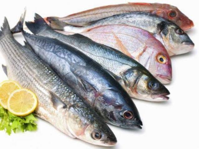 أسعار الأسماك بسوق العبور اليوم الإثنين 7/3/2022