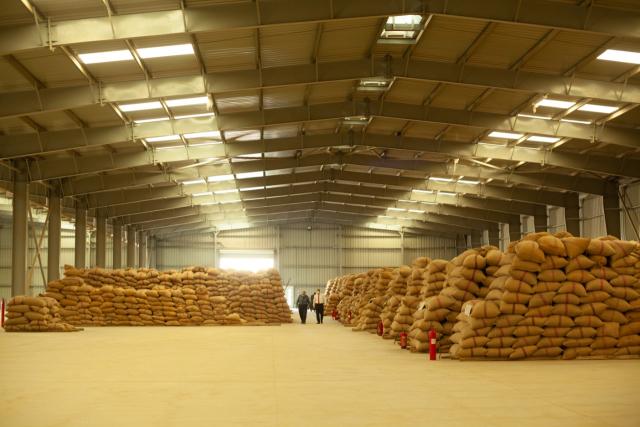 صورة من داخل مستودعات استقبال القمح لدى البنك الزراعي