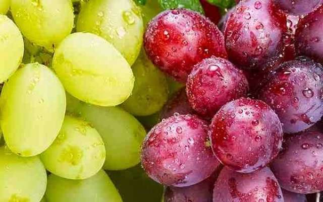 فوائد ثمار العنب وما هى الصناعات التى يدخل بها؟