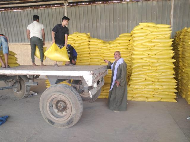 «الزراعة» تنتهي من اعداد تقاوي القمح للموسم الجديد بمشروع مستقبل مصر الزراعي