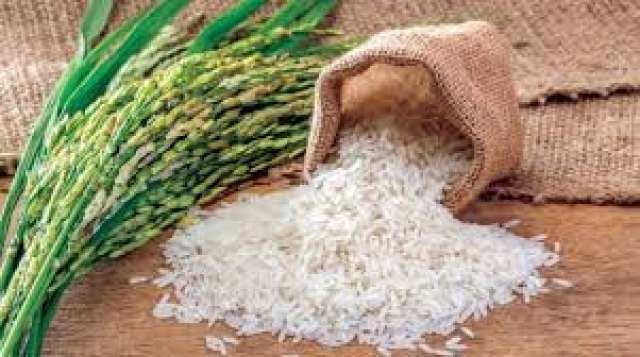 أسعار الأرز الأربعاء 15-6-2022.. و الأبيض يسجل 13,500 جنيه للطن