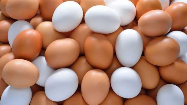 سعر البيض الأبيض بمزرعة البنا 58.5 جنيه .. ارتفاع سعر البيض بالبورصة اليوم الأحد