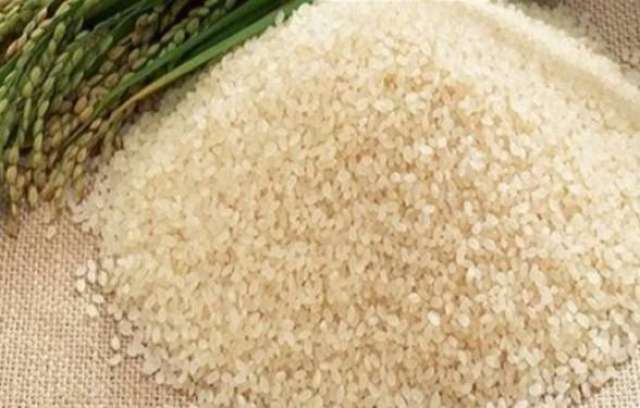 أسعار الأرز الأحد 3-7-2022.. الشعير يسجل 8,500 جنيه للطن
