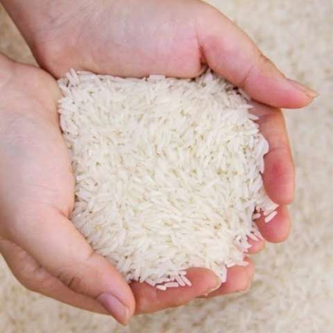 أسعار الأرز السبت 16 يوليو 2022 .. و الابيض يسجل 13,700 جنيه للطن