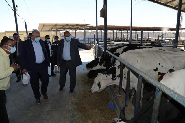 وزير الزراعة يتفقد مزرعة الإنتاج الحيواني وتصنيع الألبان بالنوبارية