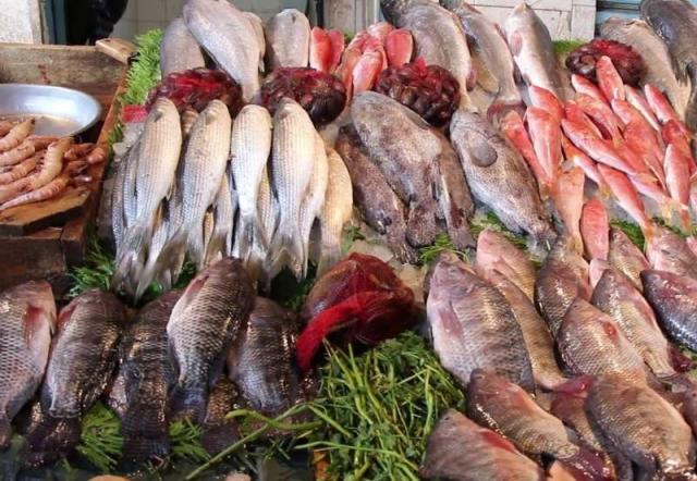 أسعار الأسماك بأسواق الجملة اليوم الأحد