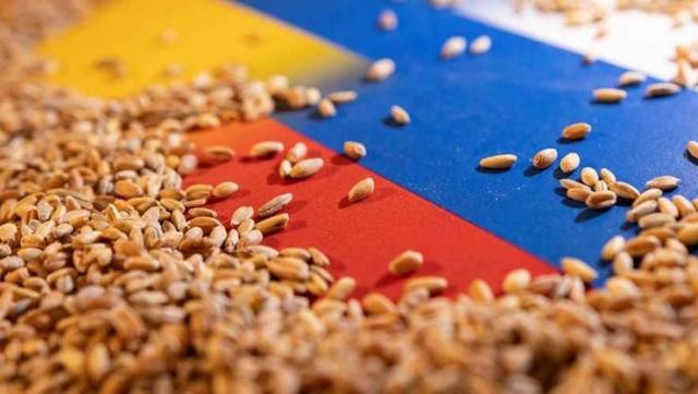 الرئيس الأوكراني: موسكو تحاول خلق مجاعة مصطنعة بتعليق مشاركتها في اتفاقية تصدير الحبوب
